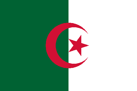 Algeria due diligence investigation services