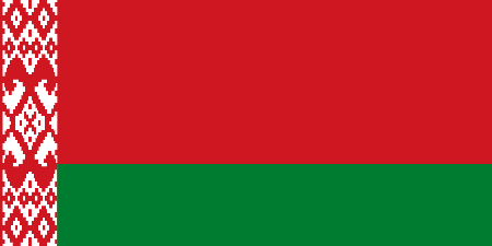 Belarus due diligence investigation services