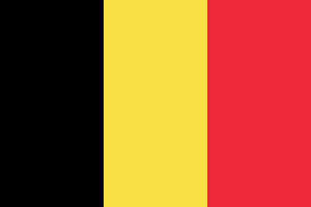 Belgium due diligence investigation services