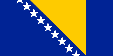 Bosnia-Herzegovina due diligence investigation services