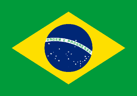 Brazil due diligence investigation services
