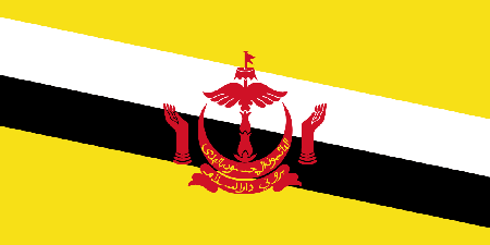 Brunei due diligence investigation services