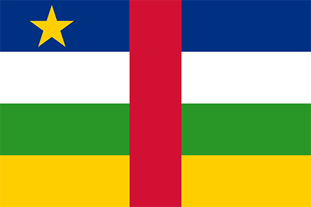 Central-African-Republic due diligence investigation services