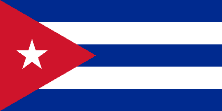 Cuba due diligence investigation services