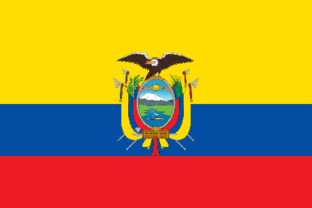 Ecuador due diligence investigation services