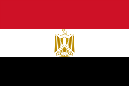 Egypt due diligence investigation services
