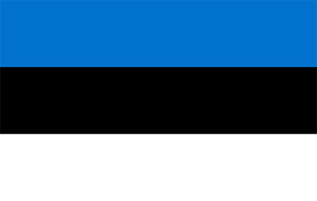 Estonia due diligence investigation services