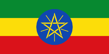 Ethiopia due diligence investigation services