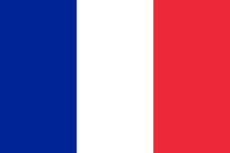 France due diligence investigation services