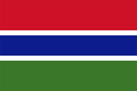 Gambia due diligence investigation services