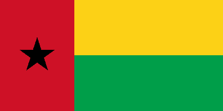 Guinea-Bissau due diligence investigation services