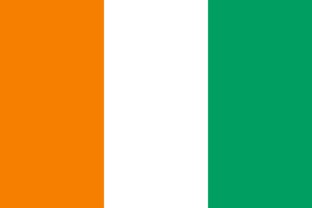 Ivory Coast due diligence investigation services