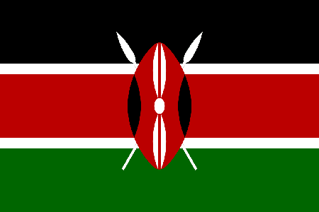 Kenya due diligence investigation services