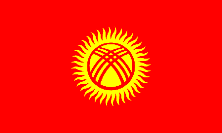 Kyrgyzstan due diligence investigation services