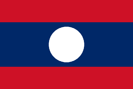 Laos due diligence investigation services