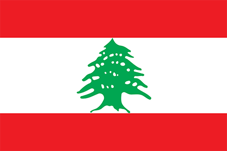 Lebanon due diligence investigation services