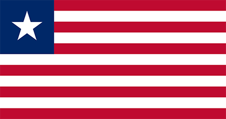 Liberia due diligence investigation services