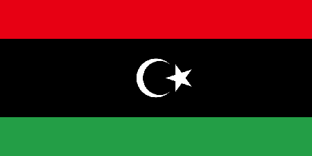 Libya due diligence investigation services
