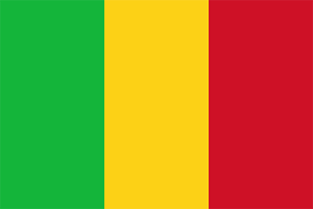 Mali due diligence investigation services