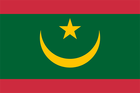 Mauritania due diligence investigation services