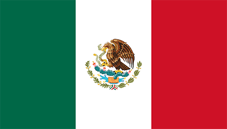 Mexico due diligence investigation services