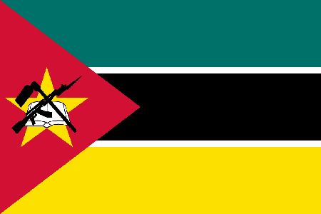 Mozambique due diligence investigation services