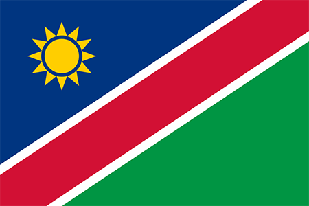 Namibia due diligence investigation services