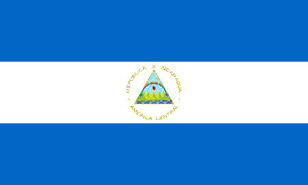 Nicaragua due diligence investigation services