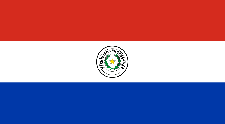Paraguay due diligence investigation services