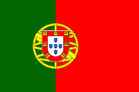 Portugal due diligence investigation services