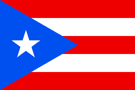 Puerto Rico due diligence investigation services