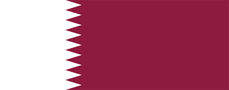 Qatar due diligence investigation services