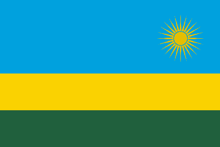 Rwanda due diligence investigation services