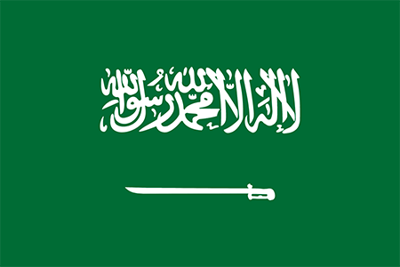 Saudi Arabia due diligence investigation services