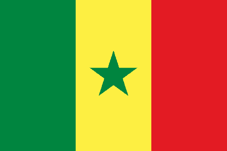 Senegal due diligence investigation services
