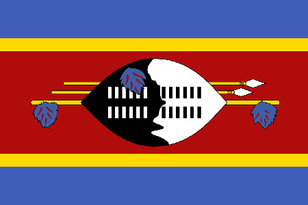 Swaziland due diligence investigation services