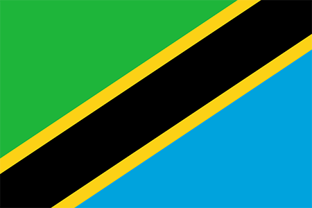 Tanzania due diligence investigation services