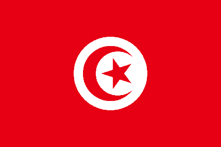 Tunisia due diligence investigation services