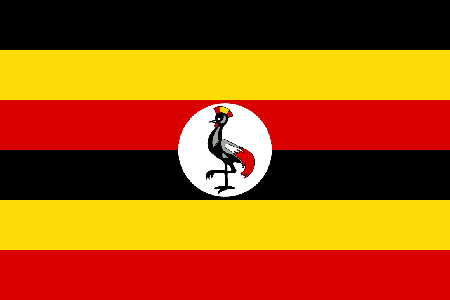 Uganda due diligence investigation services