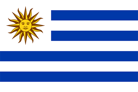Uruguay due diligence investigation services