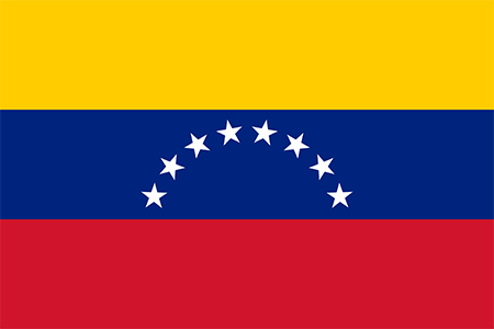 Venezuela due diligence investigation services