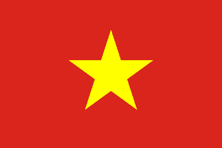 Vietnam due diligence investigation services